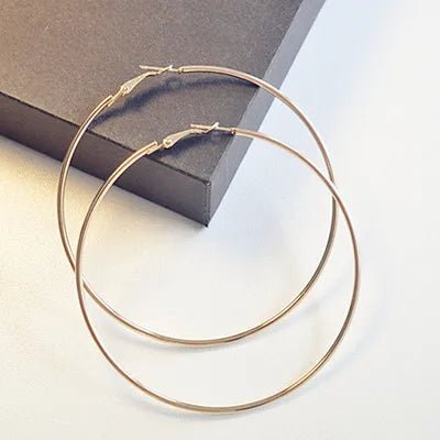 https://gofionafashion.com/products/trendy-hoop-earring-big-circle-earrings-jewelry