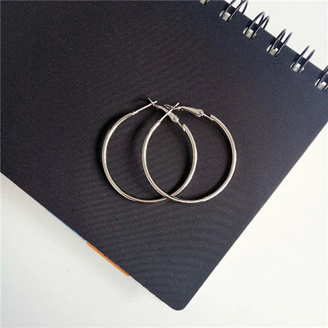 https://gofionafashion.com/products/trendy-hoop-earring-big-circle-earrings-jewelry